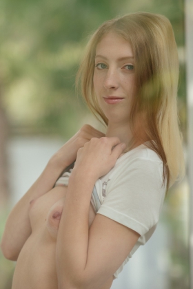003